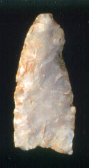 Photo. Fluted point with repair
of impact fracture.