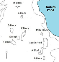 Map. Map of
               the Nobles Pond excavation blocks